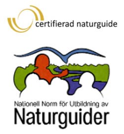 Loggorna för Certifierad naturguide och för Nationell norm för utbildning av naturguider