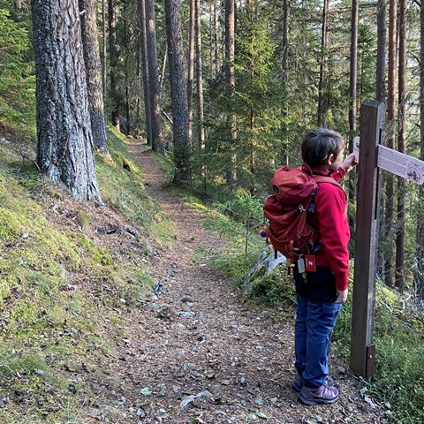 Barn tittar på skylt i skog