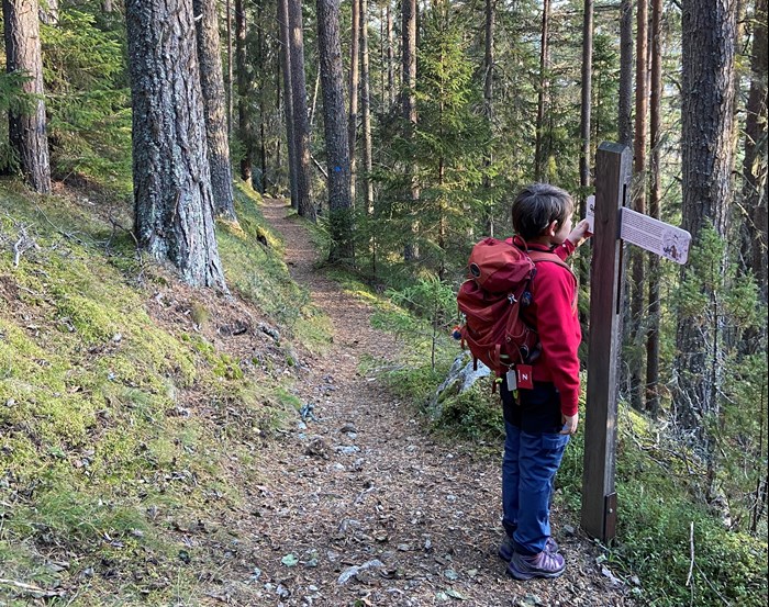 Pojke tittar på skylt i skog
