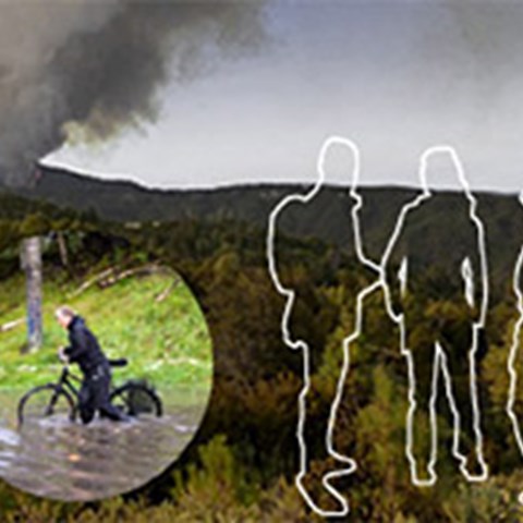 Fotomontage: Cyklist i vatten, träd, silhuetter av människor.