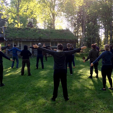 About ten people performing qigong outdoors. Photo.