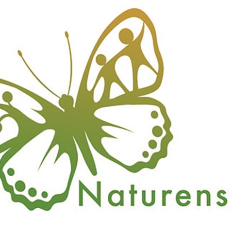 Fjäril och texten ”Naturens år”. Illustration.