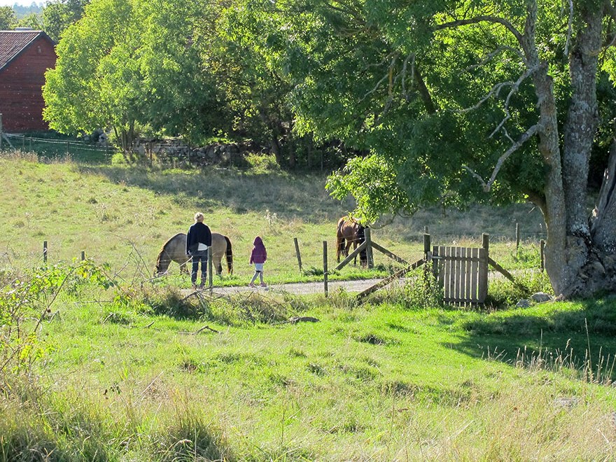 Two people at a horse paddock. Photo.