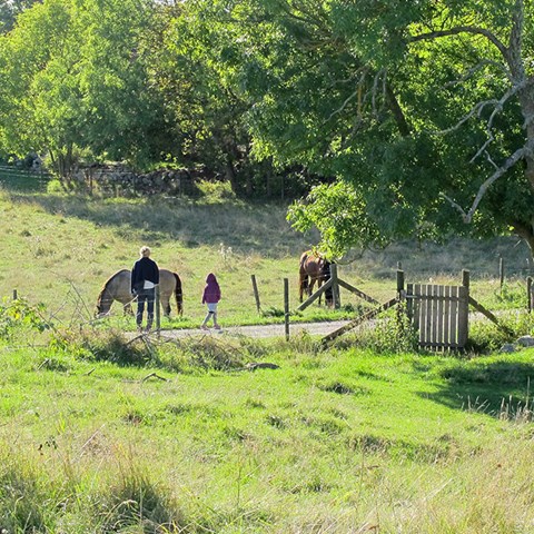 Two people at a horse paddock. Photo.