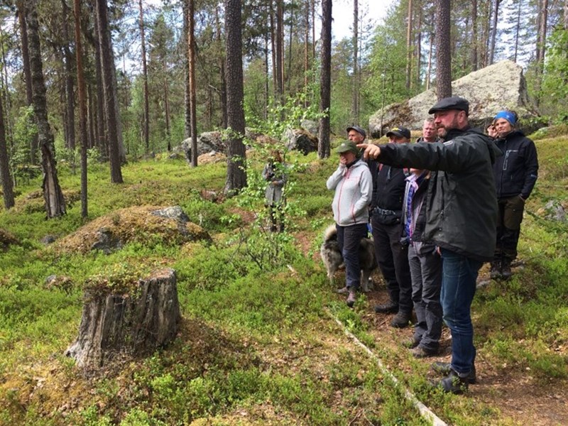 Naturvägledning i skogslandskap i Björnlandets nationalpark. Foto: Anders Arnell, CNV