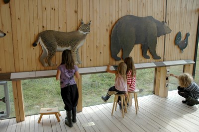 Barn som kollar på en utställning om djur. Foto.