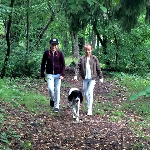 Två personer promenerar i skogen med en hund. Foto.