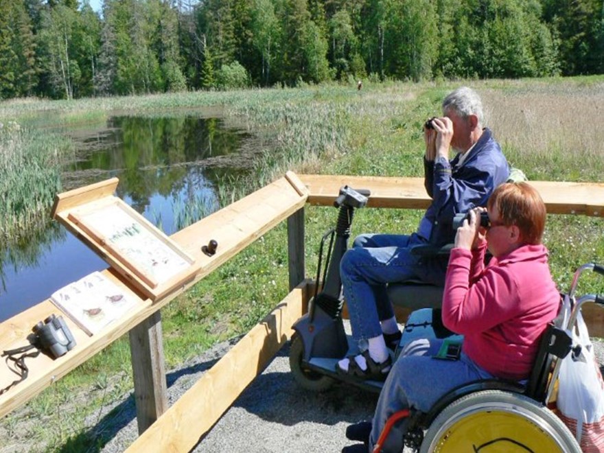 Två fågelskådare i rullstol vid Stora Kärret