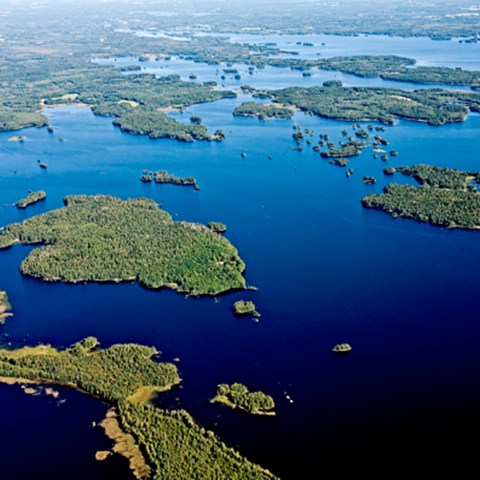 Landskap: sjö med skogsbeklädda öar och halvöar. Foto.