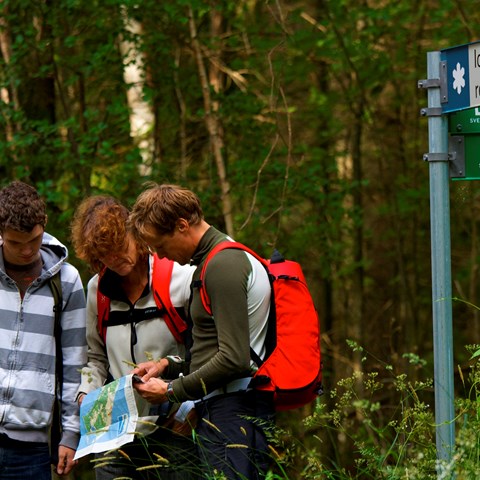 Vandring med guide i Ekopark Böda