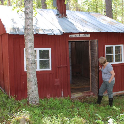 Visningsmiljö i Västerbotten: Järptjärns skogsarbetarförläggning