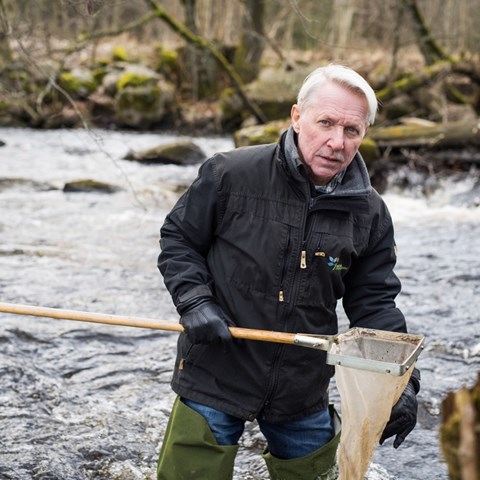 Naturvårdsbiologen Lennart Henrikson i sitt rätta element, där han visar vattnets betydelse i landskapet.  