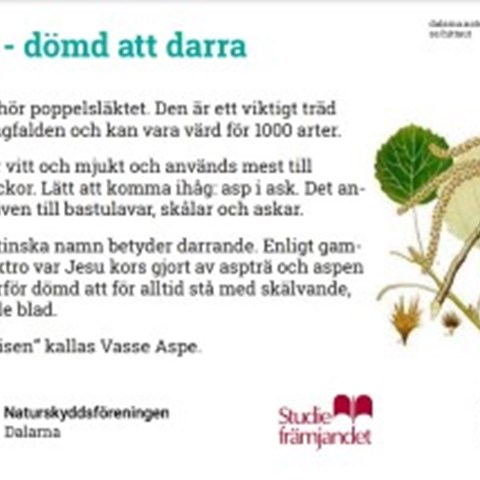 Skylt om asp till Hittaut med Naturkul!
