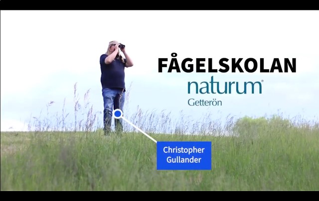 fågeslskolan_naturum_getterön.jpg