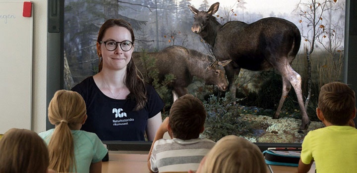 Webbvisning för skolor med Naturhistoriska riksmuseet. 