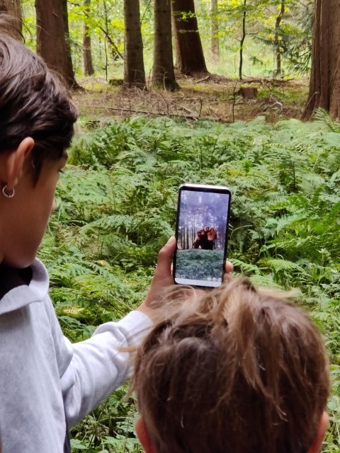 Virtuella väsen i skogen genom förstärkt verklighet (AR). 