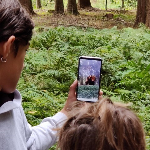 Virtuella väsen i skogen genom förstärkt verklighet (AR). 