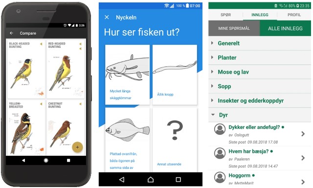 Skärmbilder från apparna Fågelguiden, Fisknyckeln och Spør en biolog