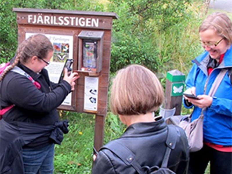 En grupp besökare som provar mobilguide vid naturstig