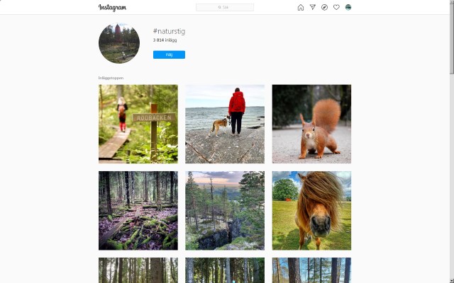 Samling av bilder på Instagram publicerade med etiketten #natursti