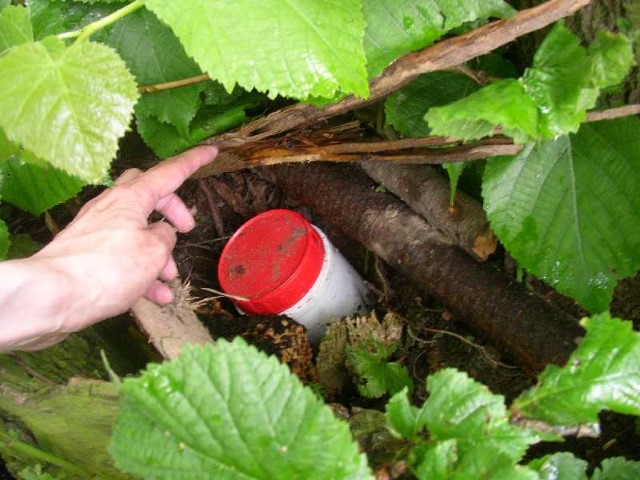 En deltagare hittar en skattgömma (cache) i ett buskage.
