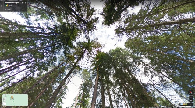 Tivedens nationalpark, virtuell naturstig i 360°