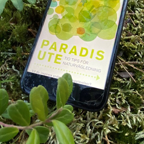 Paradis ute checklista