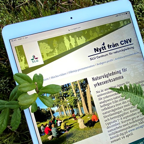 Nytt från CNV