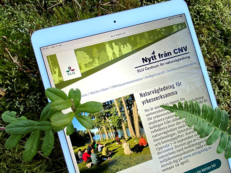 Nytt från CNV