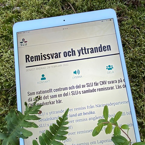 CNV Remisser