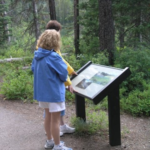 Två personer står och tittar på en informationsskylt i skogen.