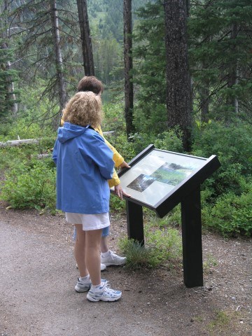 Två personer står och tittar på en informationsskylt i skogen.