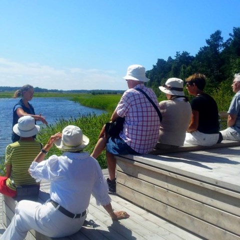 En grupp personer sitter vid en brygga. Solen speglar sig i vattnet.