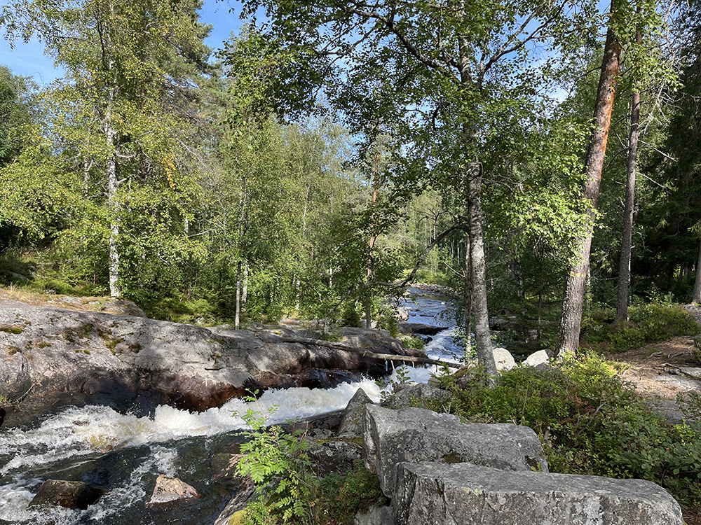 Skräddartorpsfallet