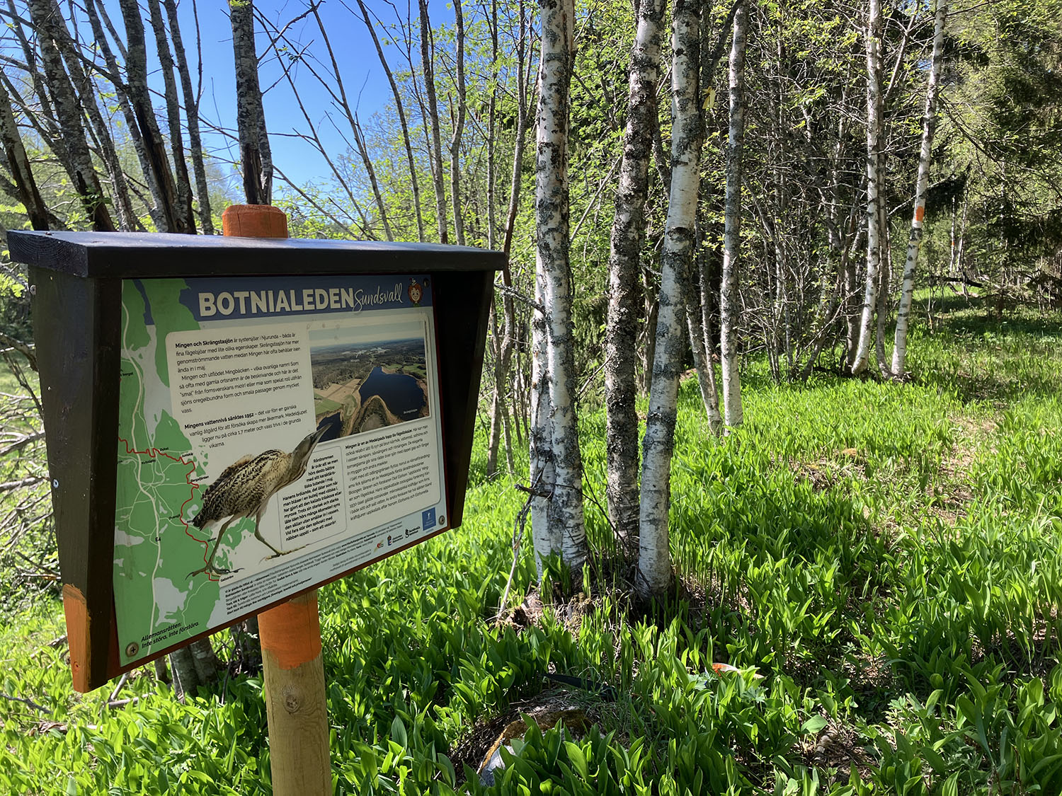 Informationsskylt längs Botnialeden visar en rördrom