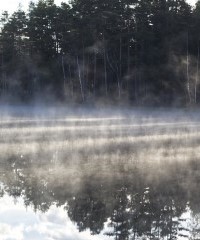 Bild från ett konstprojekt
