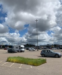 Linodling på parkeringsplats