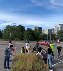 Skörd av linodling på parkeringsplats