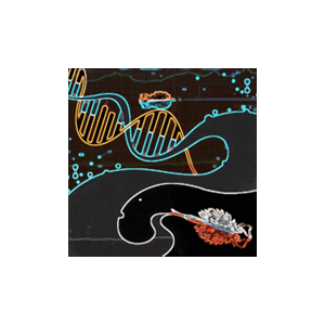 DNA double helix, illustration.