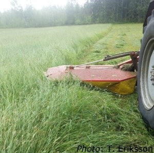 Harvest of a grass ley.