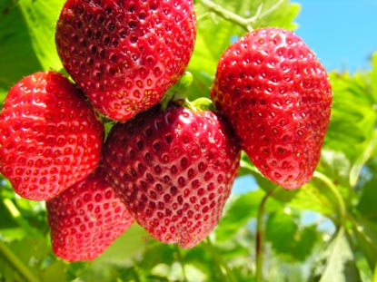 Foto: iStockphoto.com