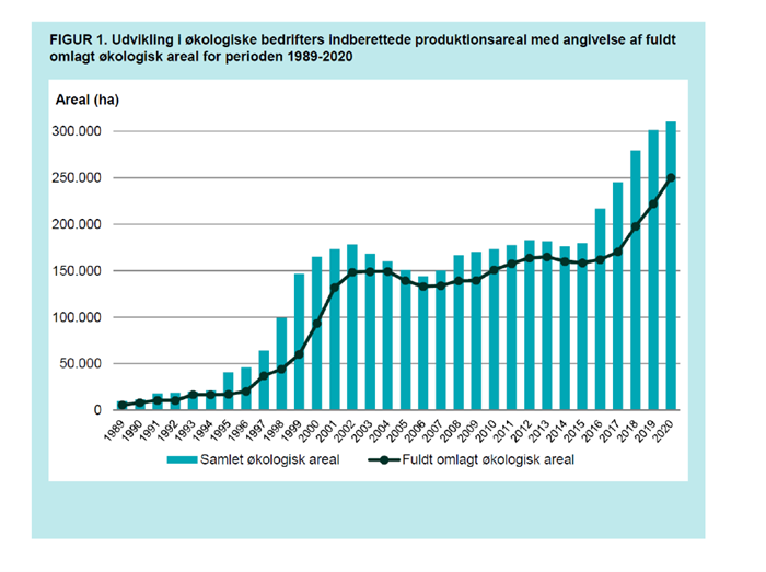 Utvecklingen av den ekologisk odlade arealen i Danmark 1989-2020.