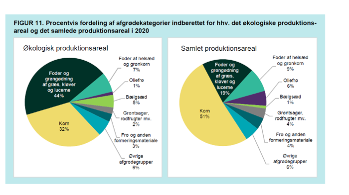 Grödfördelning på den ekologisk odlade arealen i Danmark 2020.