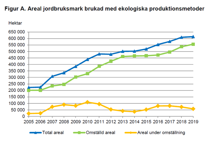 Utvecklingen av den ekologisk odlade arealen i Sverige 2005 till 2019.