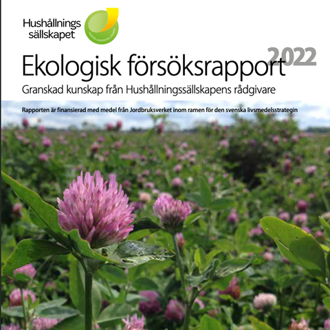 Framsida av ekologisk försöksrapport föreställande ett fält med blommande rödklöver.