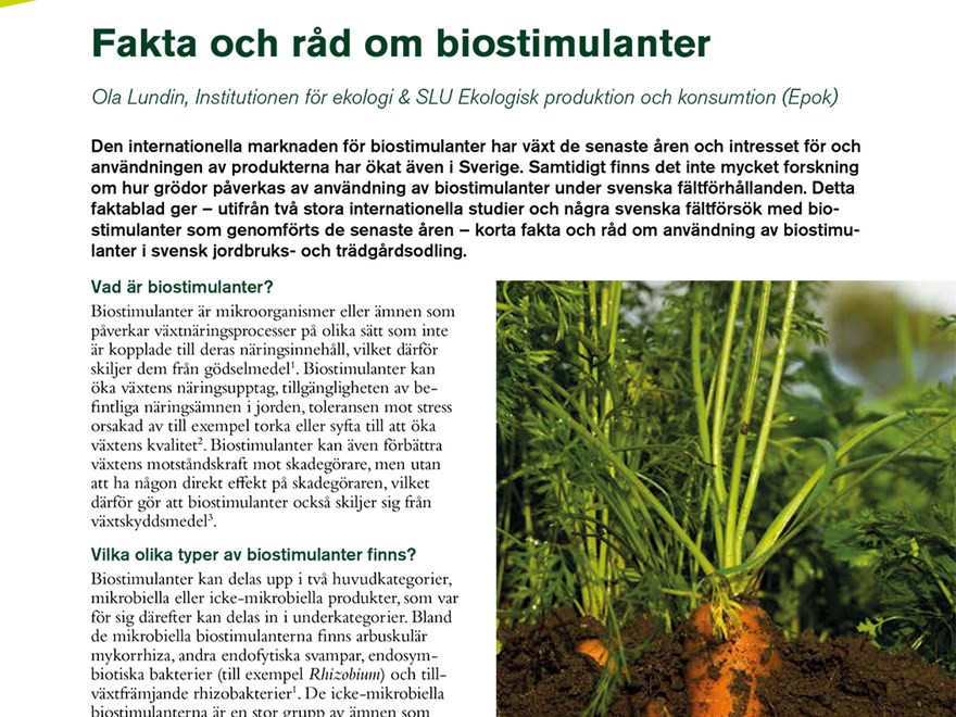 Framsida av faktablad om biostimulanter. Text samt bild på morot.