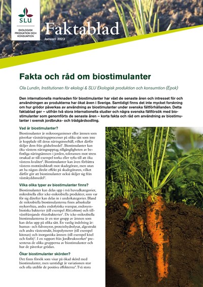 Framsida av faktablad om biostimulanter. Text samt bild på morot.