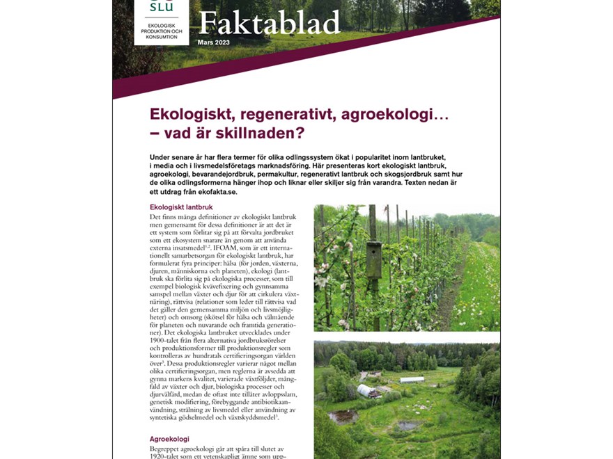 Framsida av faktablad eko, regenerativt...