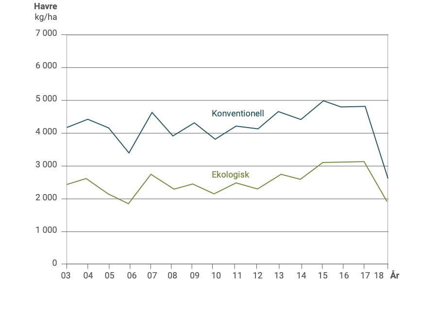 Graf över skördeskillnader mellan eko och konventionell havre 2003-2018.