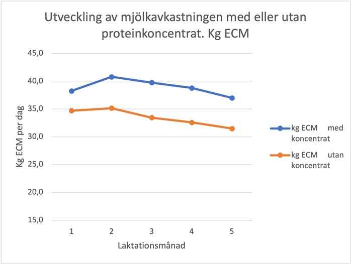 Utvecklingen av mjölkavkastningen (kg ECM) under första halvan av laktationen under stallsäsongen 2022–2023. Medelvärdet på 8 ekologiska mjölkgårdar. Två kurvor, båda ökar mellan månad 1 och 2 för att sedan dala nedåt mot månad 5. Kurvan utan koncentrat ligger ca 5 kg under kurvan med koncentrat.